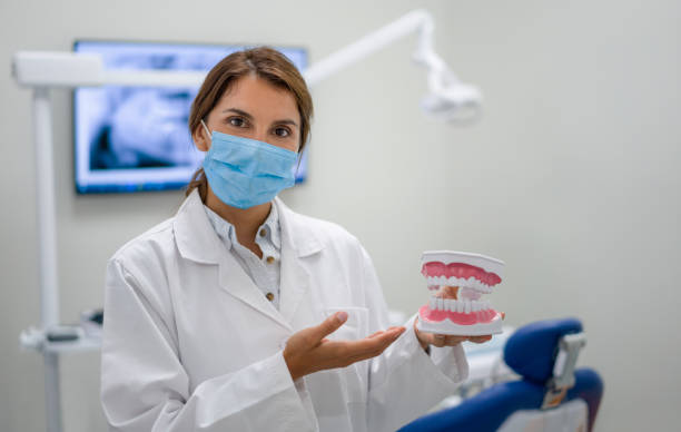 Best Dentist Open Late Near Me  in Rolla, ND